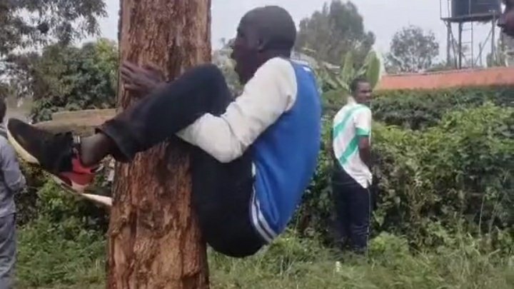 polo_kimani's tweet photo. When your parents take you to campus and support you alafu ukifika 3rd year they stop sending you upkeep. https://t.co/VVtRgmhFpH