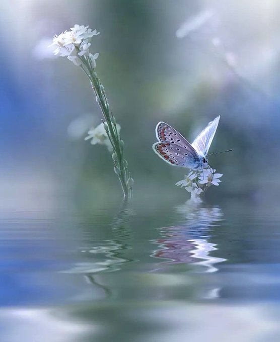 Happy Monday twitter friends🙋‍♀️