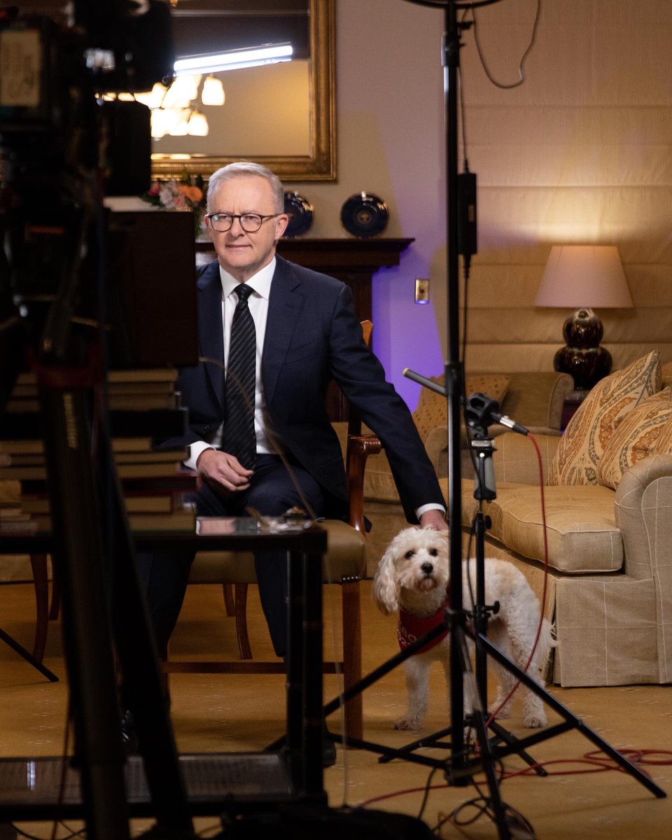 Anthony Albanese tweet media