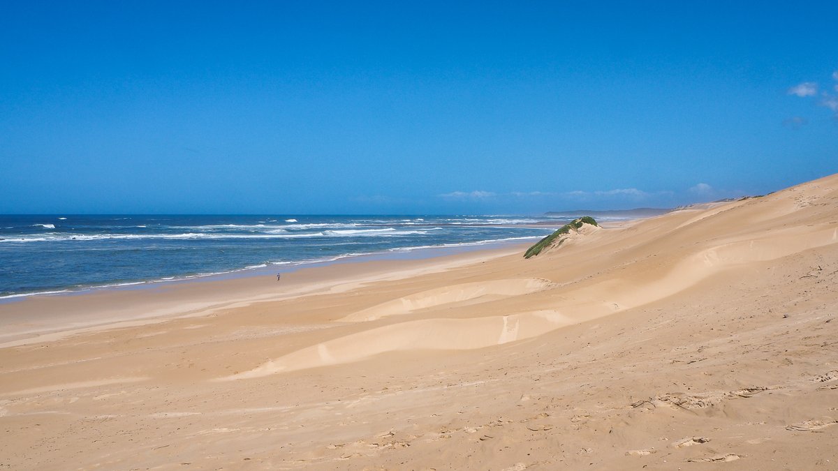 The Roaming Giraffe #Travel Writer tweet media