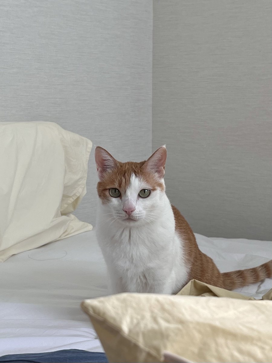 시루 공주님도 아기야 어쩜 이렇게 예쁘니