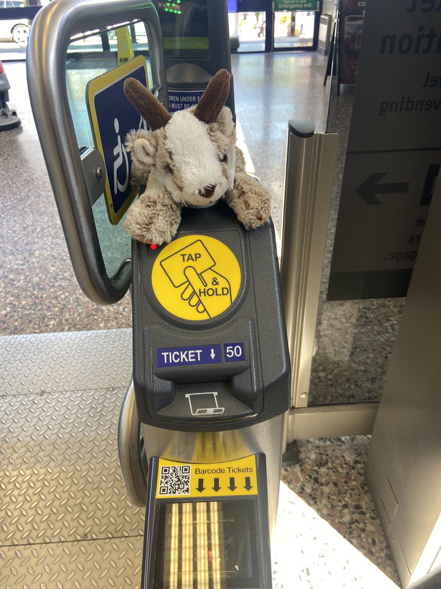 muchtydave's tweet photo. Had an extra special passenger on my way to Perth today. They did very well helping me with my doors and checking tickets. They are safe at the Perth gateline waiting for their best friend to be reunited! @ScotRail #scotlandsrailway #BestFriends https://t.co/ML8m1GO2Nr