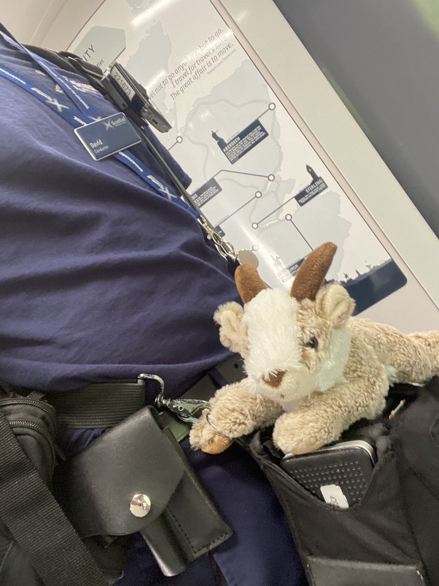 Had an extra special passenger on my way to Perth today. They did very well helping me with my doors and checking tickets. They are safe at the Perth gateline waiting for their best friend to be reunited! @ScotRail #scotlandsrailway #BestFriends