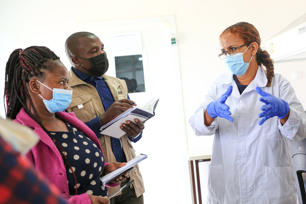 LIPSZim's tweet photo. @LIPSZim has been working to increase adoption of #climate-smart livestock innovations.
Read about a recent visit by #Zimbabwean scientists to the #feeds and #forage sector in #Ethiopia. https://t.co/9cnPH3uRU6 https://t.co/ZuJKBdzxoN