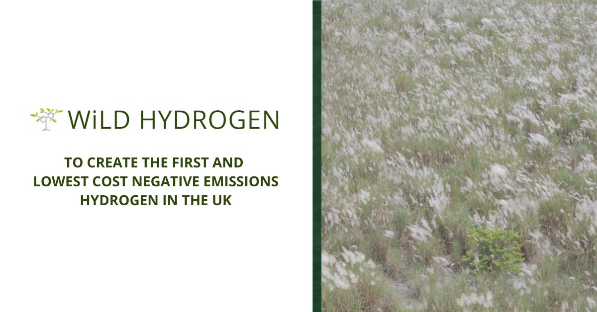 Learn more about WiLD Hydrogen, an innovative #startup with a mission to create the first and lowest cost negative emissions #hydrogen in the UK, introducing RiPR #technology for scalable hydrogen production with #carbon capture: rb.gy/umlrfb