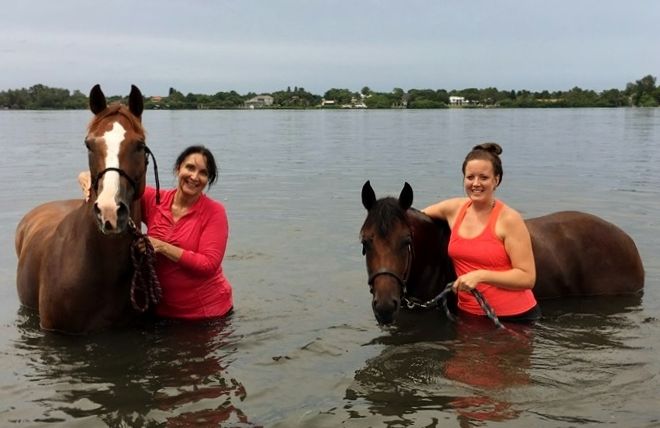 August Newsletter From Green Glen Equine Hospital - mailchi.mp/7ee799c15618/h…