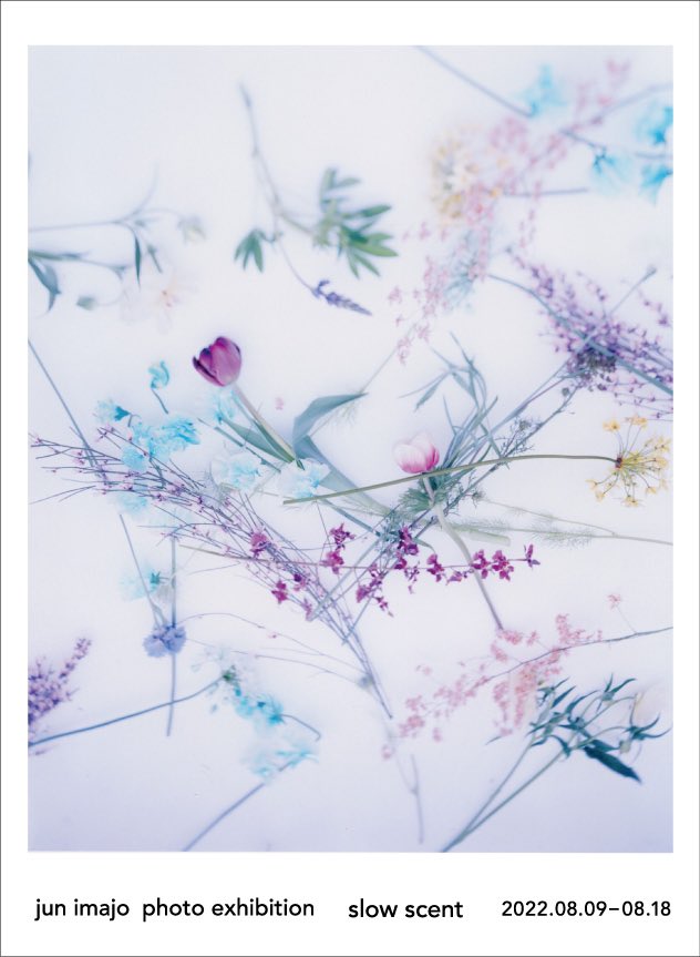 Jun_Imajo's tweet image. 3年振りに写真展を開催します。
宜しくお願い致します。
