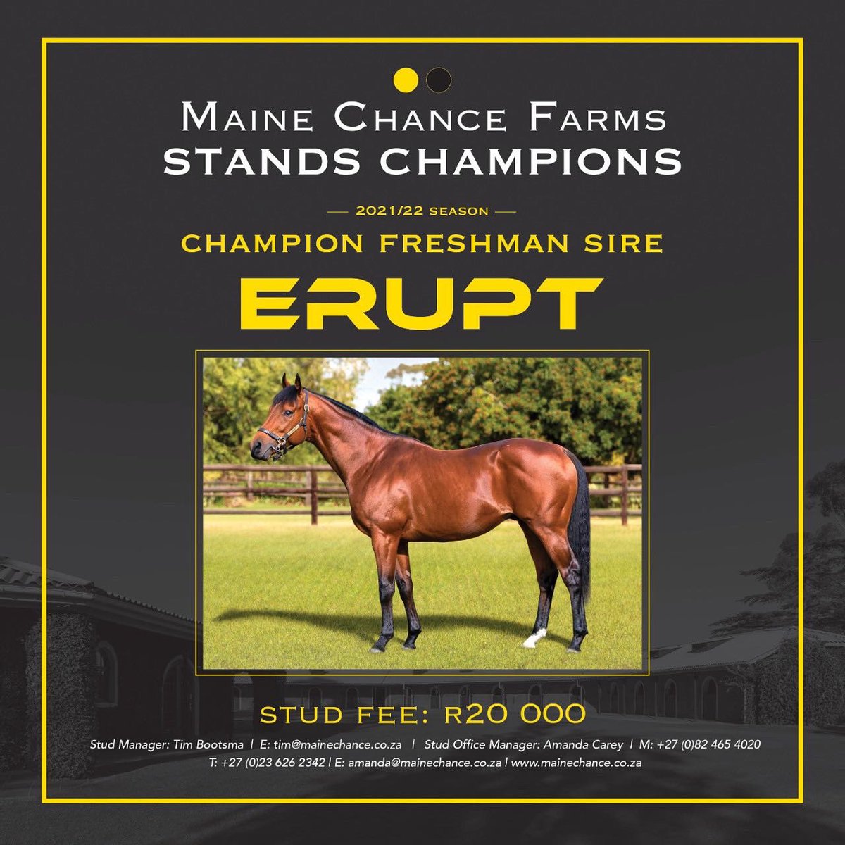 Maine Chance Farms tweet media