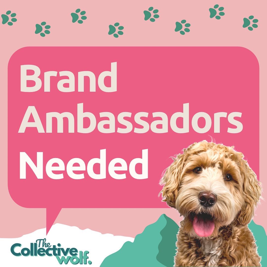 The Collective Wolf 🇬🇧 tweet media