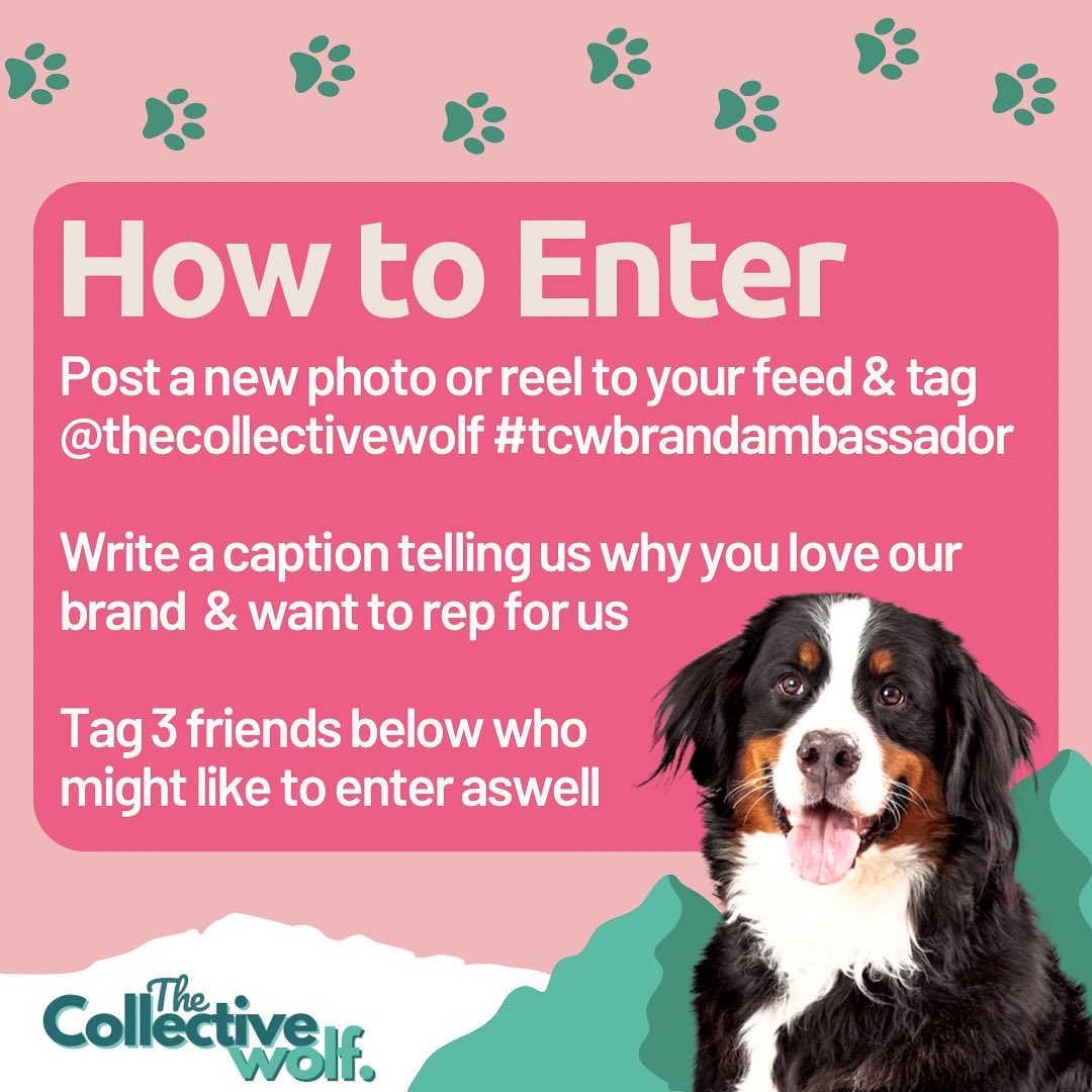 The Collective Wolf 🇬🇧 tweet media