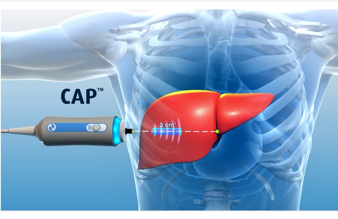 jennifer Marshall tweet media
