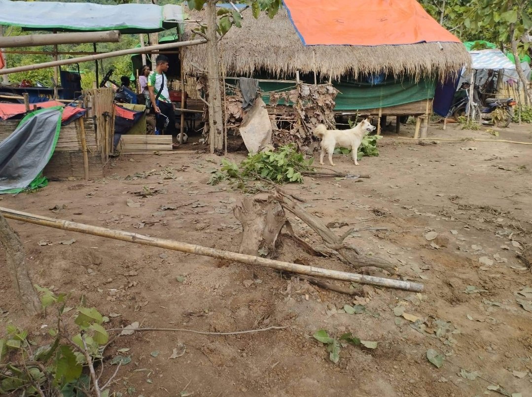 KarenniHR's tweet photo. A 13 year old girl was kill and 4 Karenni IDPs were injured by SAC motor shelled in Karenni State, Deemaw Soe Township, Saung Dular village track at 5:00pm, 31 July 2022. At least 10 times of IDP camps targeted motor shell by SAC in July 2022. https://t.co/q9FJEGXQpt