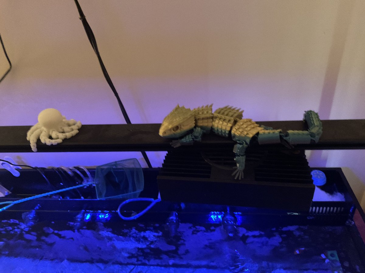 FiniteFins tweet media