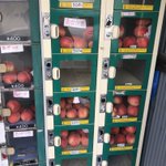 ロッカー型自販機で売られているのは？大量の桃だった。
