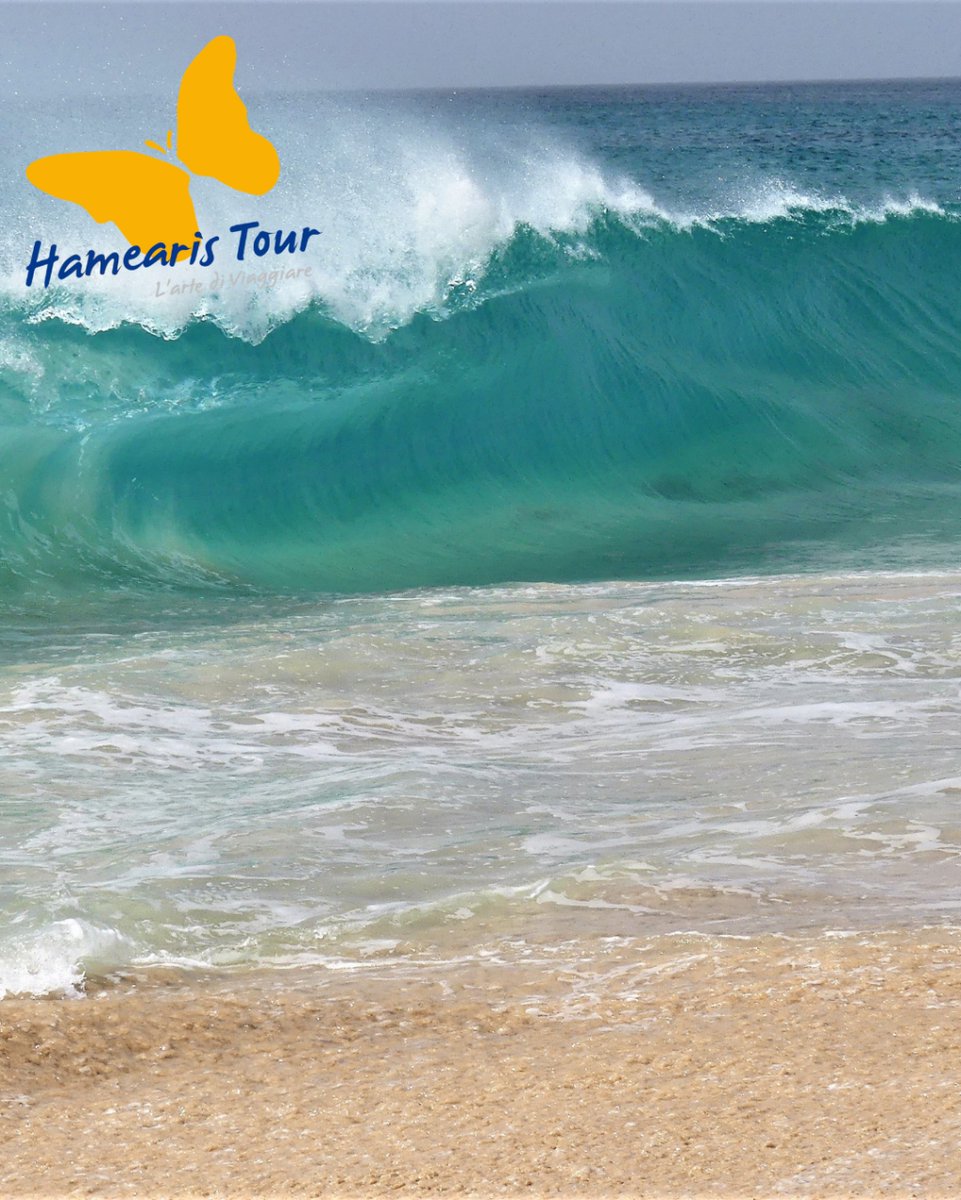 HamearisTour's tweet image. Splendide spiagge, la cultura antichissima, paesaggi straordinari, onde che si susseguono placide e tanto verde. 
Regalati una vacanza unica a Capo Verde. ☎️ 0422 842403

#hamearistour #lartediviaggiare #sempreinviaggio #luoghidavisitare #luoghidascoprire #postidavisitare…