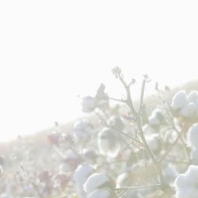 August wish 🦊
ฟ้อกซี่ขออวยพรให้เดือนนี้ทุกคนมีความสุข สมความปรารถนา อยากมีแฟนก็ได้มี ใครมีแฟนก็รักกันนานๆ ใครสอบขอให้สอบได้ มีแต่สิ่งดีๆเข้ามา มีรอยยิ้มและเสียงหัวเราะตลอดทั้งเดือนเลยน้า