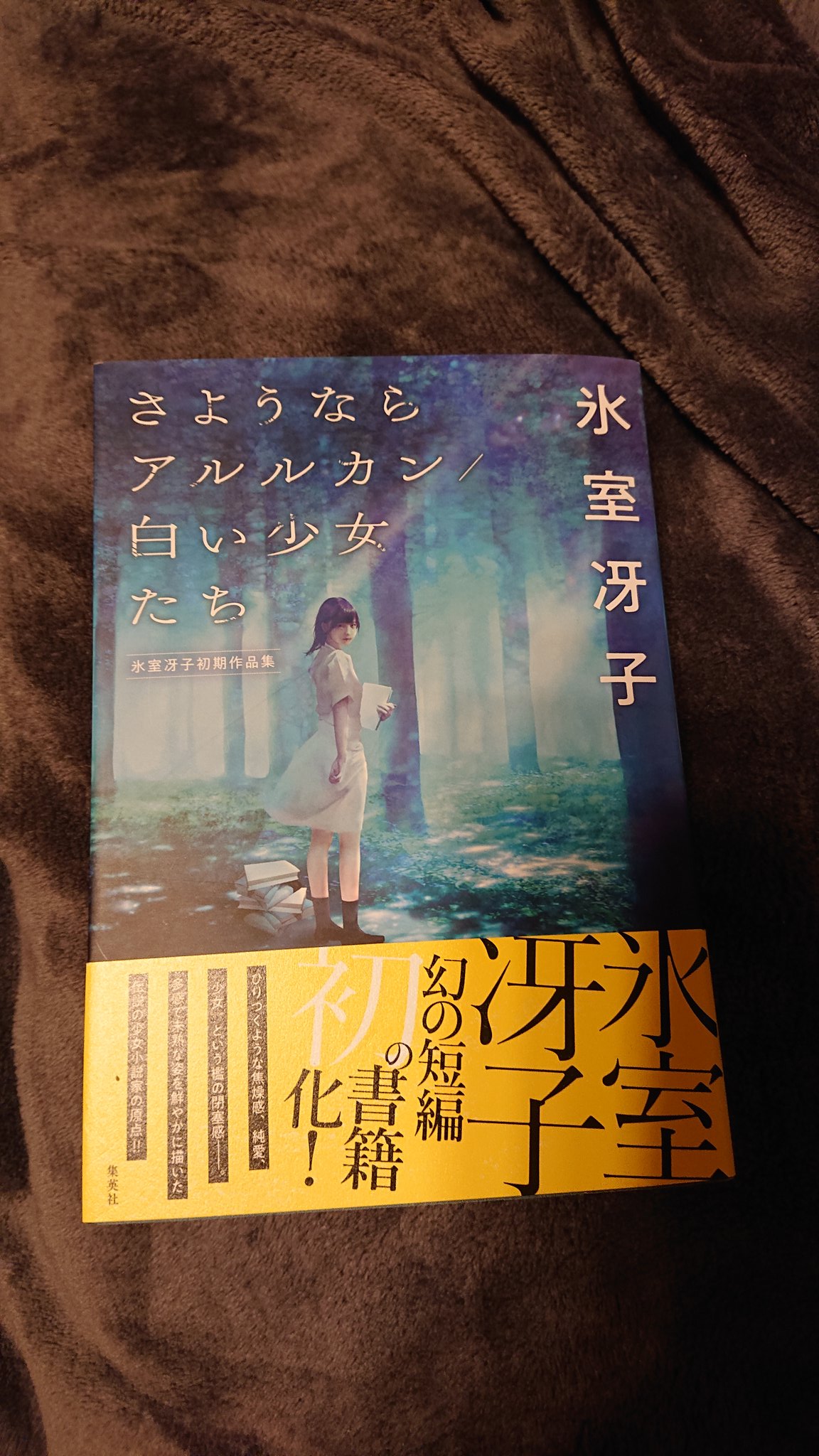 ちびあんすも 少女の頃の 繊細で透明で脆くて柔らかい 美しく気高い心の機微 表題作である さようならアルルカン 白い少女たち この二作は秀逸 特に 白い少女たちのようなテーマを真っ向から切り込むのに脱帽 今読んでもとても重いテーマである