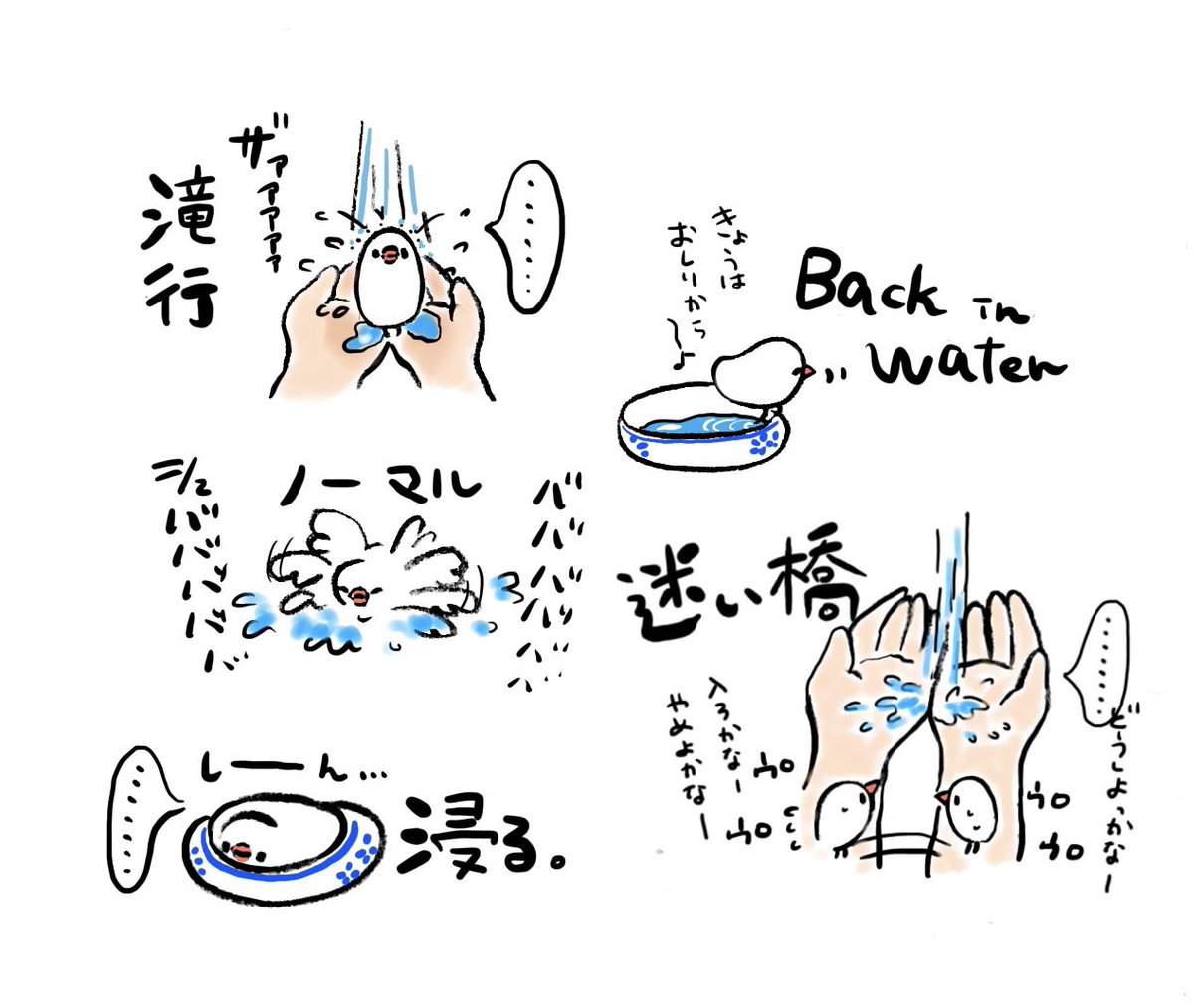 ぶんちょの水浴び技5選 