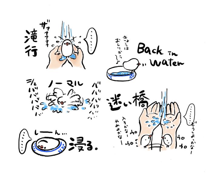 ぶんちょの水浴び技5選 