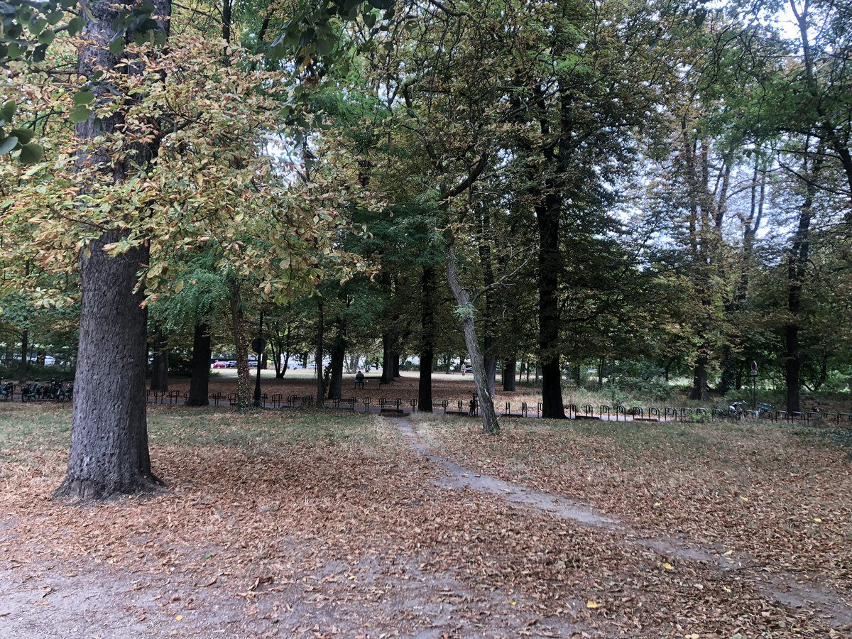 Le bois de Vincennes, 1er août 
C’est tellement sec qu’on se croirait en automne