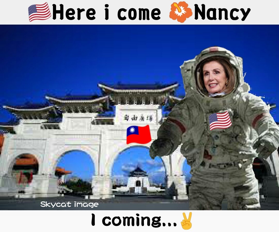 SkycatN's tweet photo. @chvideonews 🌺🌺🌺 Nancy plan 🌺🌺🌺
Day 1- Singapore Monday 8/1
Day 2-  Malaysia
Day 3- Philippines
Day 4- TAIWAN ???
Day 5- Japan
Day 6-  Kores
#NancyPelosi  #Nancy 
#Taiwan https://t.co/zTkodyAUjH