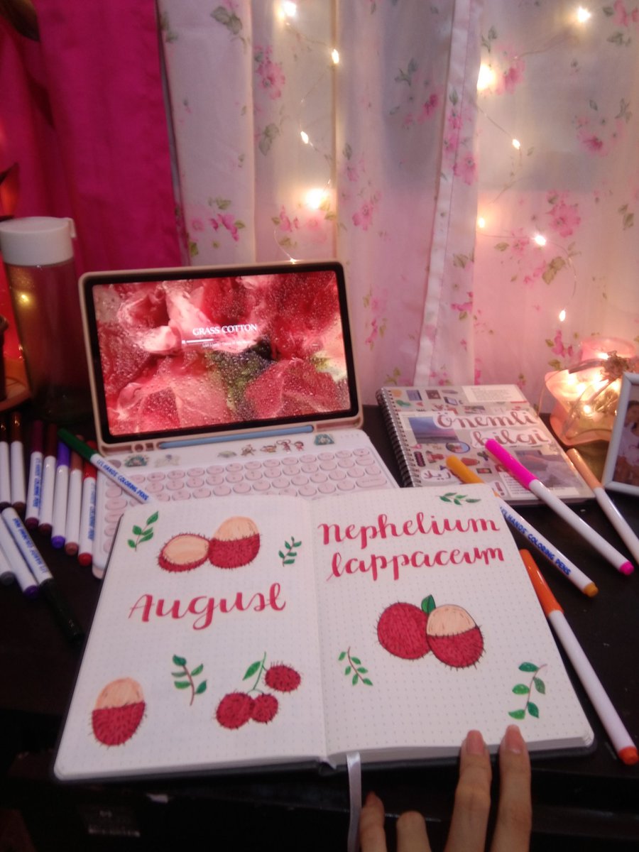 Aeralaydee's tweet photo. No rambutan emoji? T^T
#bulletjournal #journaltheme https://t.co/XyoLbbWeHz