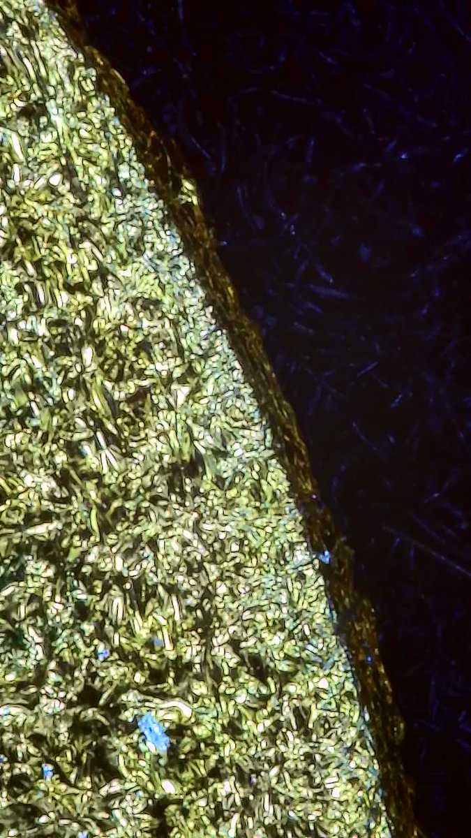 piqueresperito's tweet image. Comenzamos la semana con un análisis en #documentoscopiaforense en donde el uso del microscopio deviene vital. El uso y disfrute, porque la belleza de lo oculto a nuestra visión es palpable. En la imagen detalle de impresión con relieve.
#análisisforense  #Criminalística