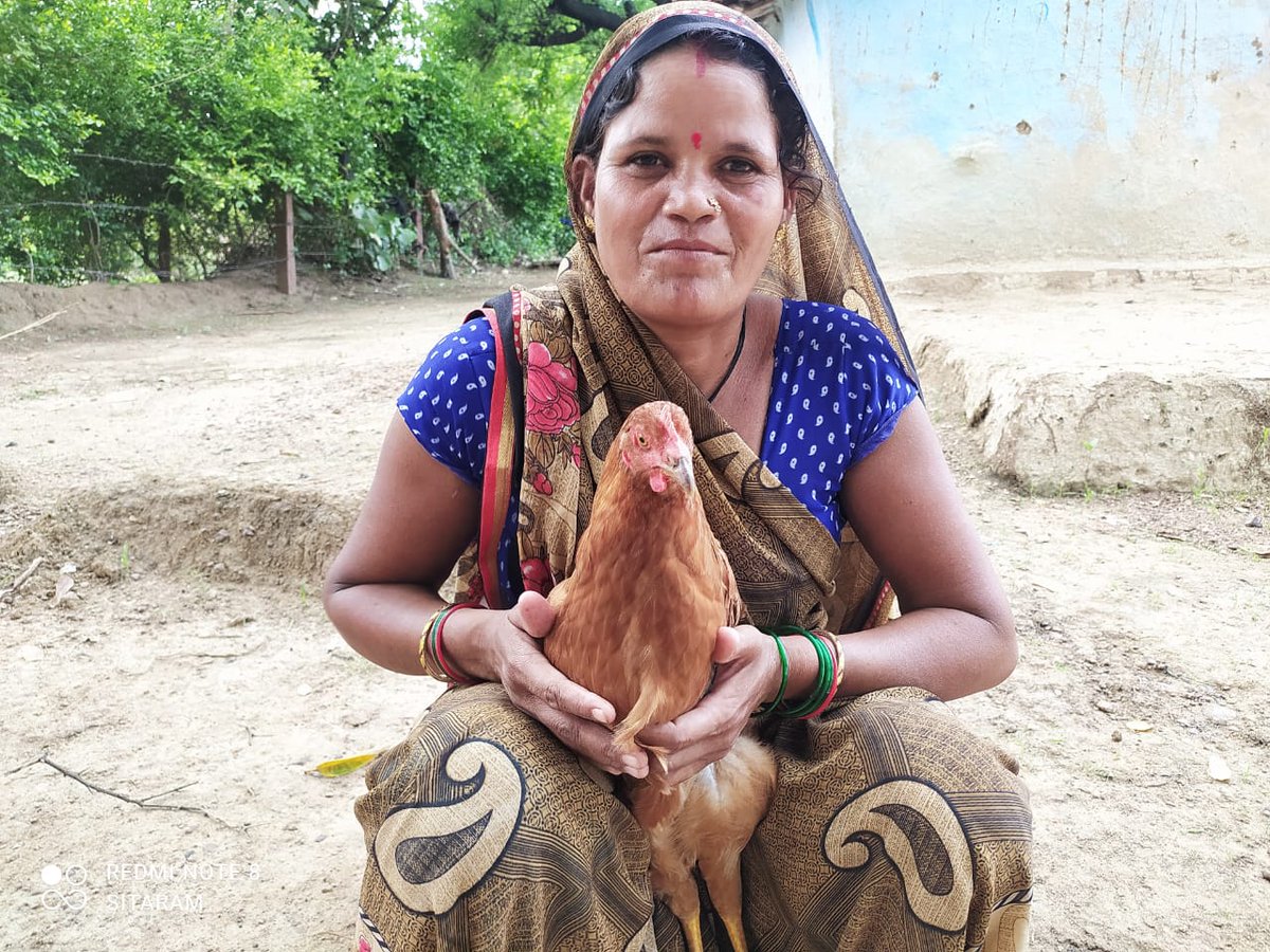 prashanshagupt5's tweet photo. #Work4ProgresslaCaixa
#50YearsOfAAIndia
Different livelihood models to support the marginalized community in many districts of Uttar Pradesh have been established by @ActionAidIndia team.
@PARInetwork @HDFCBankCSR @AxisBankSupport @GaonConnection @DownToEarth_IN @Empower_Women https://t.co/lZdfpYa6Zk