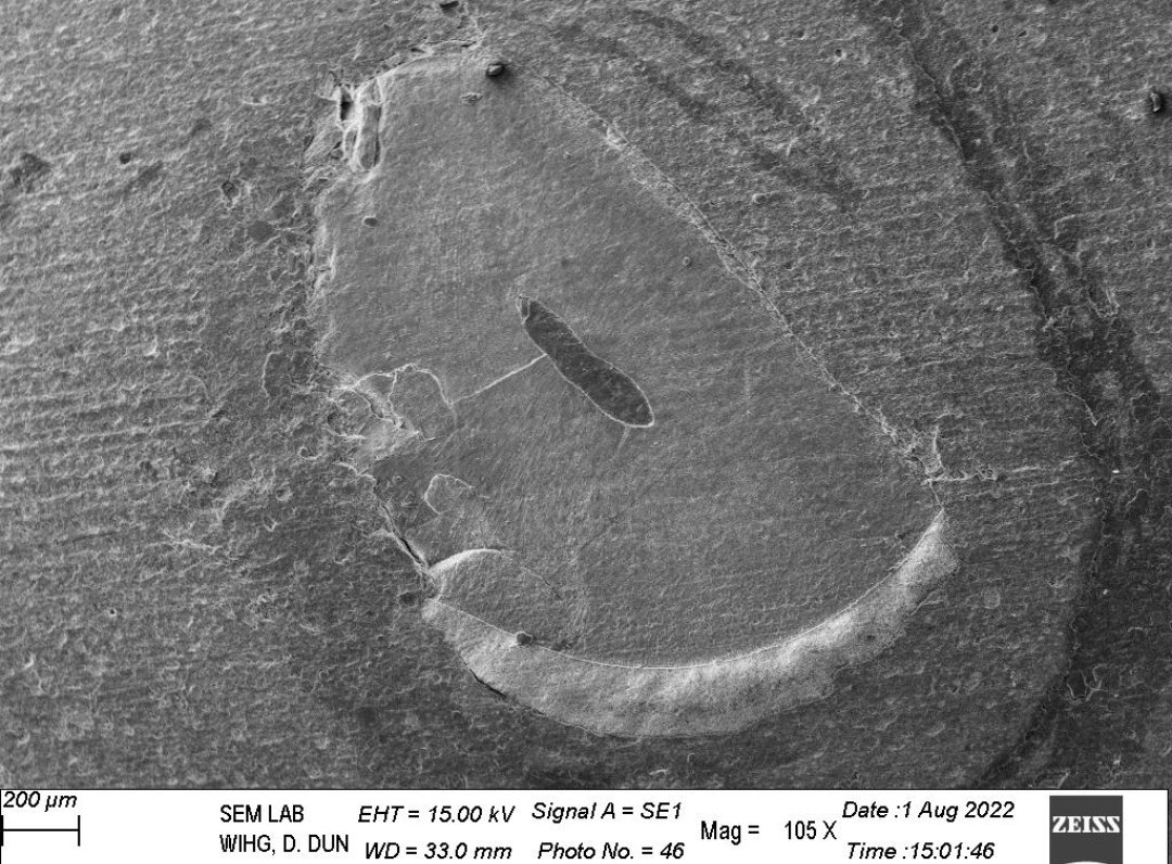 apsgeo002's tweet photo. Siwalik rodent #11-12Ma incisor enamel microstructure
@AsiaPaleofloras #rodent #siwalik #fossil #paleontology #india #SEM #wihg https://t.co/fLEoZwwT5z
