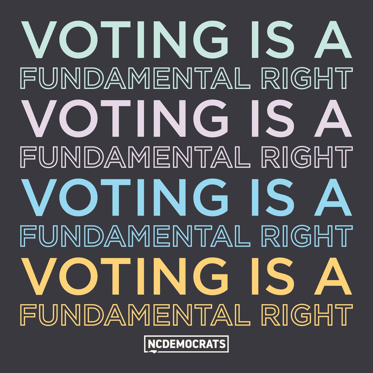 Voting is the cornerstone of our democracy and our fundamental right. As of July 27th, that right has been restored to North Carolinians who have completed their felony sentencing.
#vote #votingisaright