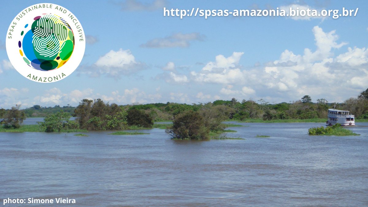 AmazoniaSpsas's tweet photo. 15 days of immersion to discuss the Amazon:
territory and sustainability;
its inhabitants as protagonists of conservation;
living in harmony with the environment and the SDGs.
Free course in Portuguese, Spanish and English with simultaneous translation. https://t.co/1NJYhZ1m57