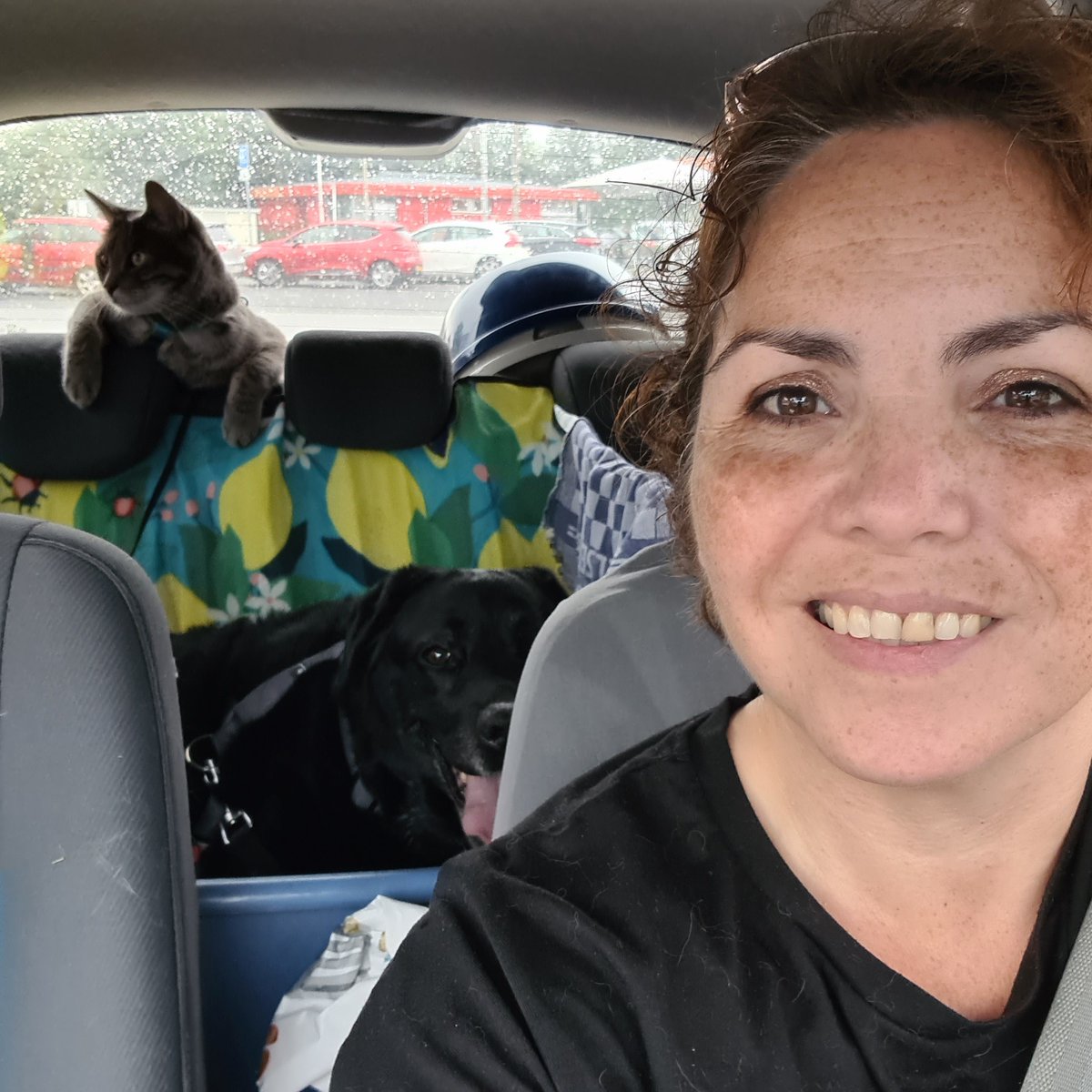 Op vakantie met vrouw en zussehond naar Denemarken! 
#Denmark #CatsOfTwitter #CatsOnTwitter