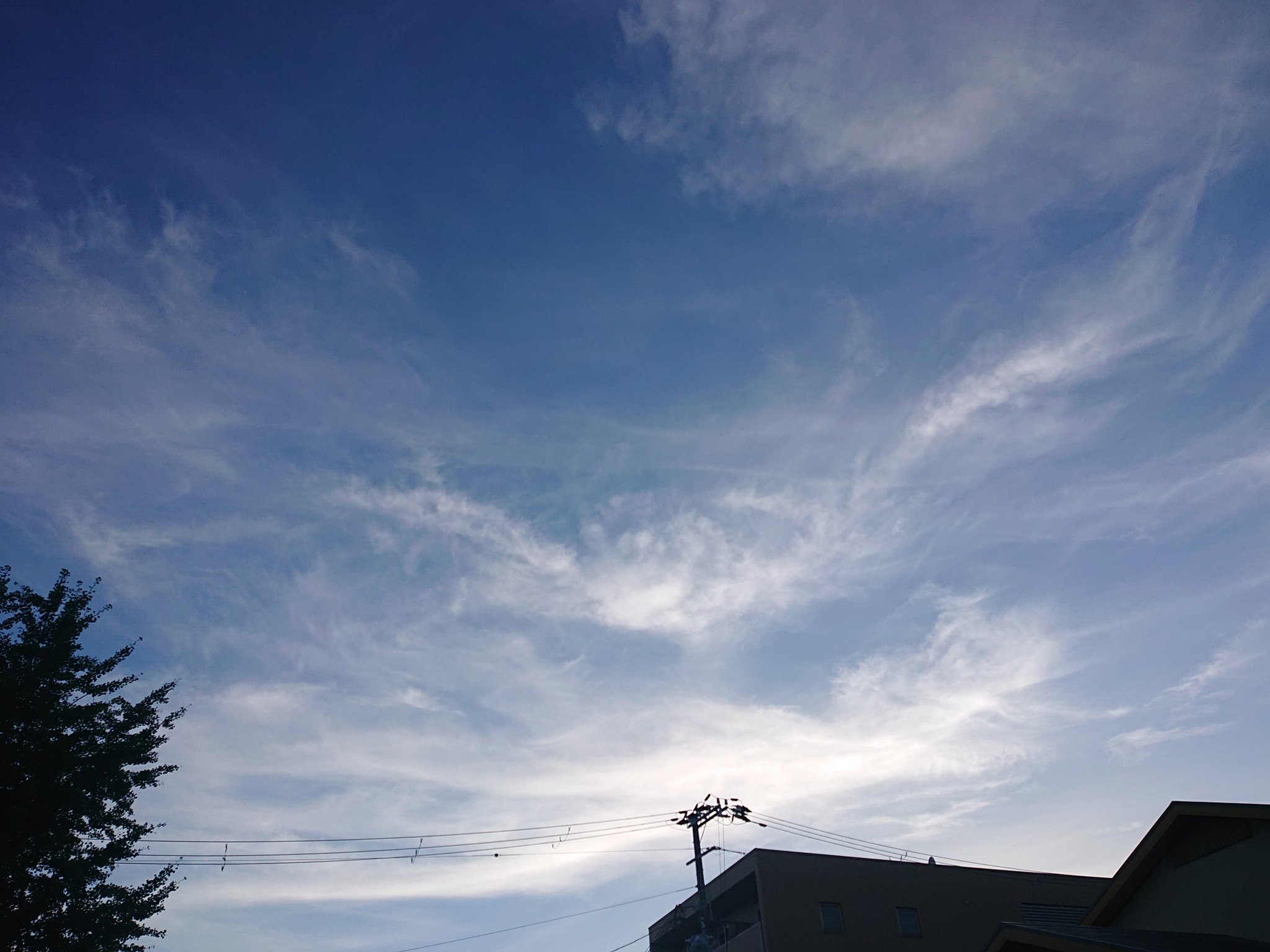 Atsuhime あつこ 龍雲と鳳凰雲に見えるのは私だけかな 大成幸 大開運 龍雲 鳳凰雲 幸せ時間 宇宙さんと繋がりたい T Co 05o75dddkb Twitter