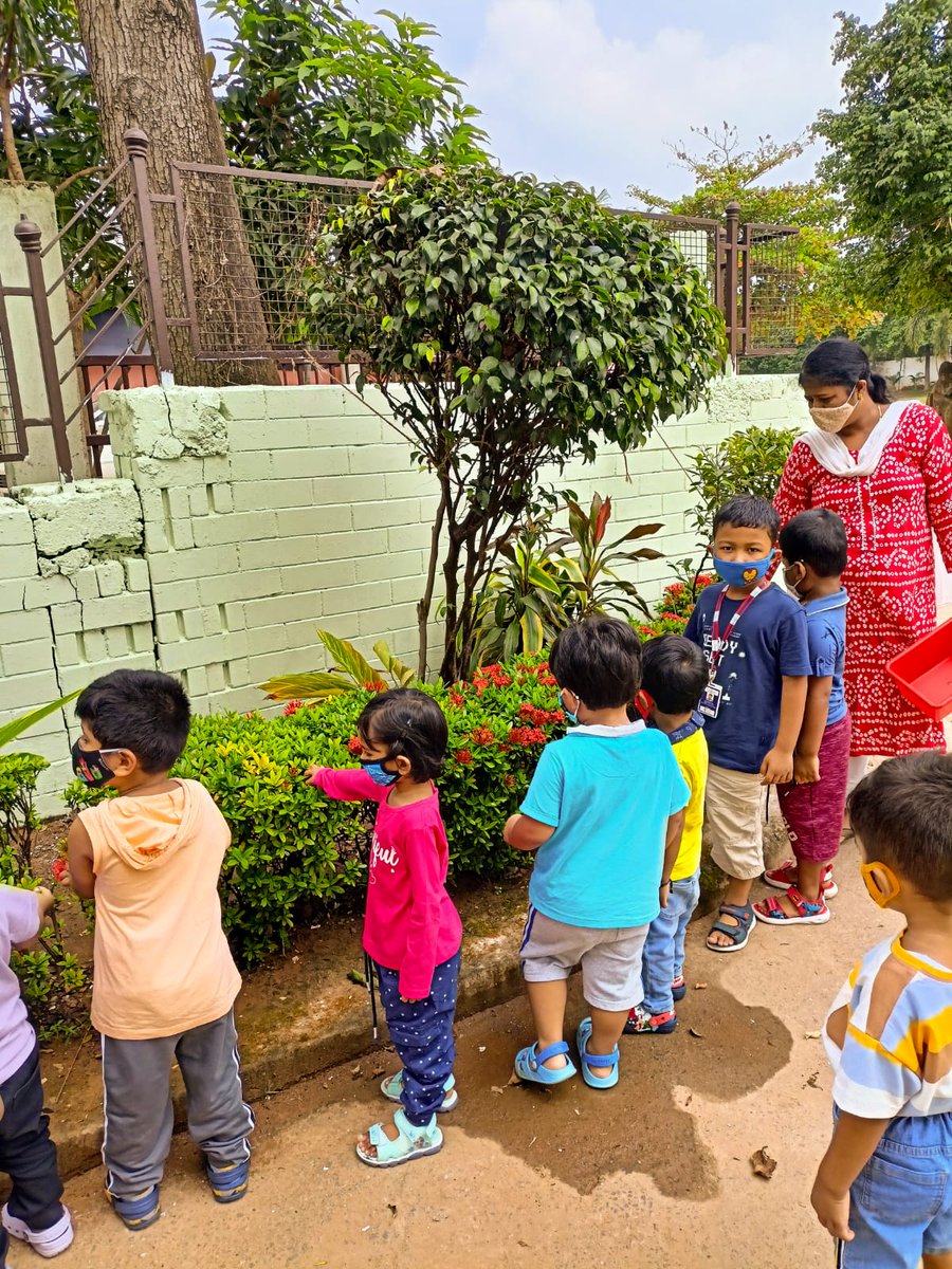 SAI_Edu_In's tweet photo. They explored different types of leaves, it's colour, size and texture. They also identified different colours of flowers.
#MotorSkills
#InterIntraSkills
#LinguisticSkills
#VisualSkills https://t.co/y0VsaluD4z
