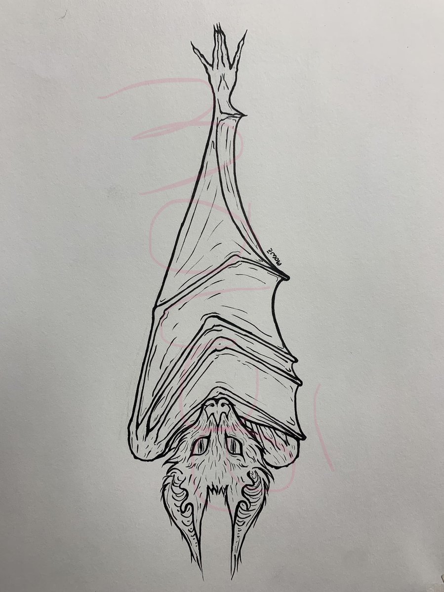 tanukiwichan's tweet photo. It's halloween season #tattooidea #traditionalart https://t.co/DQAtyfcjoF