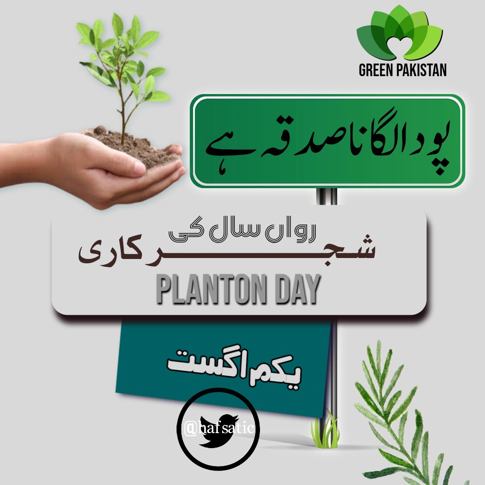hafsatic's tweet image. Plant trees its sadqa 🤲
From Ist August its best to plant trees.
Save Pakistan 
#PlantWithFGRF
#TenBillionTreeTsunamiProgram