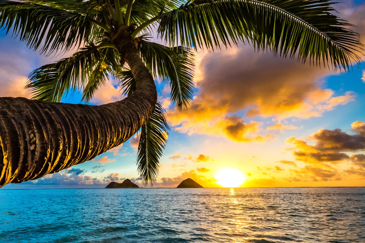 💥Hawaii Discovery with Honolulu Stay💥
✨Quantum of the Seas
✨25th April 2023
✨14 Nights
💥From £2299pp💥

VIEW &amp; BOOK - bit.ly/3Bg2eVb
Or Call Our Cruise Specialists On 0808 271 3169

View More Of Our Best Royal Caribbean Deals Here - bit.ly/3tu5ZAK
