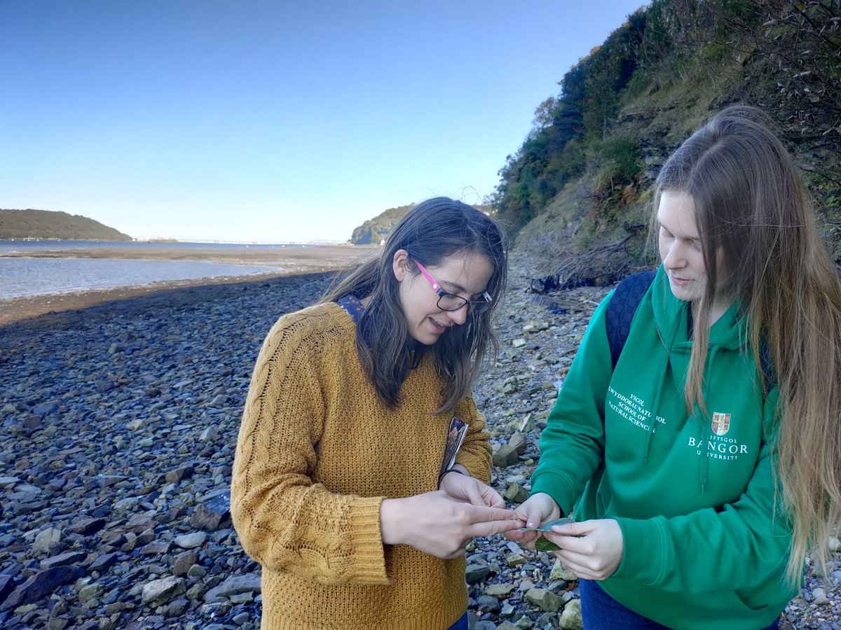 Julia Jones tweet media