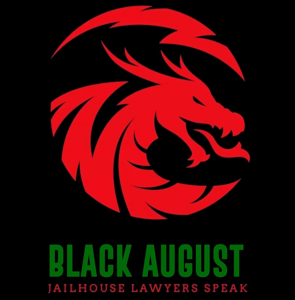 Black August mutual aid: 100% goes to the inside to people that can’t afford the basic necessities. Every dollar counts no matter how small #blackaugust #HumanRights #WeAreHumansToo givebutter.com/blackaugust