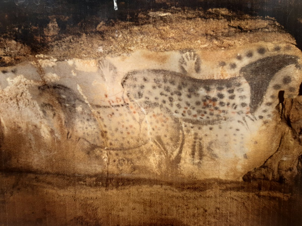 MNicolayCab's tweet photo. Remonter le #Lot, remonter le temps
- 2 500 à - 5 800 ans, #dolmens néolithiques #Prayssac 
- 29 000 ans, grotte du #PechMerle 🦣🐴🖐
- 26 à - 52 millions, les animaux du passé aux #Phosphatières du Cloup d'Aural🦥🐅
- 150 millions d'années, la #plageauxptérosaures

Epoustouflant https://t.co/NUhG3pb8uz