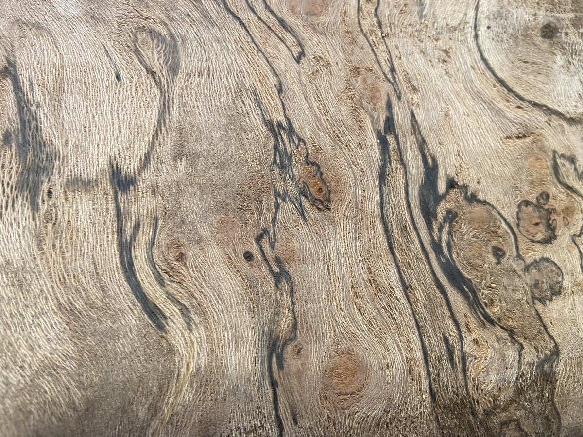 WenTimberCentre's tweet photo. Back to the grindstone after a family holiday and more stock has gone into the Showroom today. Some gorgeous London Plane, just look at that grain in the second picture ๐. Ash, Alder and Sweet Chestnut have all gone in too ๐ณ๐ #backtowork #morestock #hardwoods #localtimber https://t.co/Jb635m8RWK