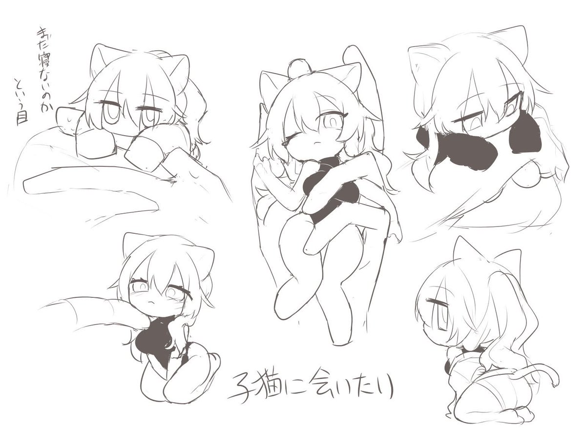 こねこちゃ……………コネコチャ………………… 