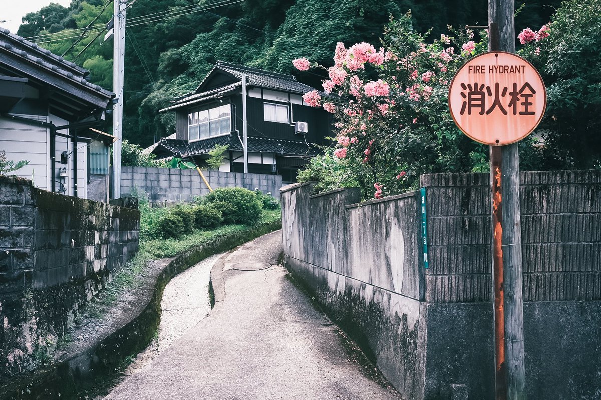 ty__photo's tweet photo. 田舎の景色

#fujifilm 
#fujifilm_xseries 
#富士フイルム

#田舎道 
#スナップ写真 

#お写ん歩 
#キリトリセカイ 
#写真好きな人と繋がりたい 
#カメラ好きな人と繋がりたい 
#ファインダー越しの私の世界 
#写真で伝える私の世界 https://t.co/m4g3n5xqs7