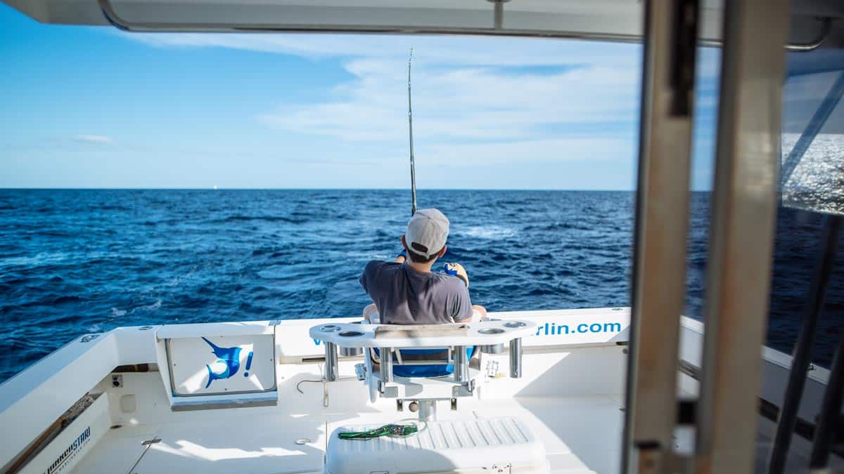 OpenPesca's tweet photo. 🦈Vuelve el II Open Internacional de Pesca de Altura de Gran Canaria - La prueba tendrá lugar entre los días 25 y 27 de agosto.
🗞 Noticia completa:https://t.co/7Y8bUXfhzE
#Grancanaria #MuchoPorVivir #PescadeAltura #OpenInternacional #Pesca #pescadeportiva https://t.co/RLNN2Dc7Xp