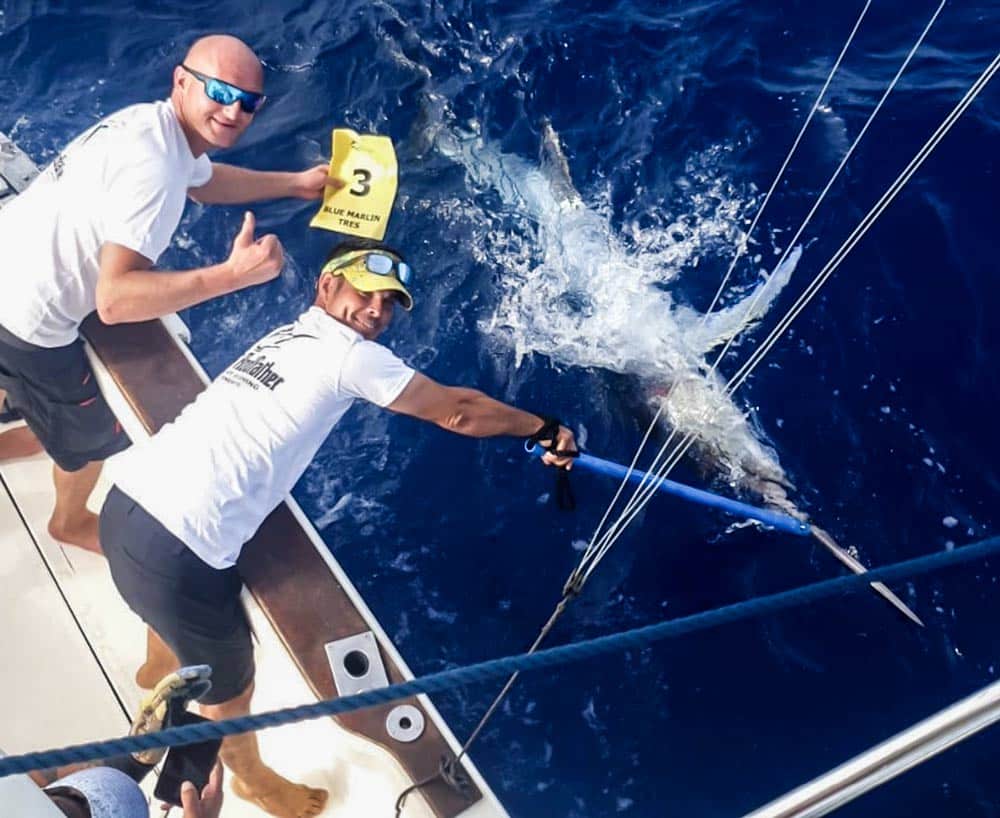 OpenPesca's tweet photo. 🦈Vuelve el II Open Internacional de Pesca de Altura de Gran Canaria - La prueba tendrá lugar entre los días 25 y 27 de agosto.
🗞 Noticia completa:https://t.co/7Y8bUXfhzE
#Grancanaria #MuchoPorVivir #PescadeAltura #OpenInternacional #Pesca #pescadeportiva https://t.co/RLNN2Dc7Xp