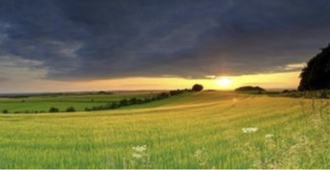 FinancePennant's tweet photo. We were recently able to assist an existing customer to secure a loan of 500K to refinance existing debt &amp; release additional working capital for their farming enterprise.
Looking to release working capital in your farming business? Why not give us a call? #agriculture #finance https://t.co/ZzXC6DuQcb
