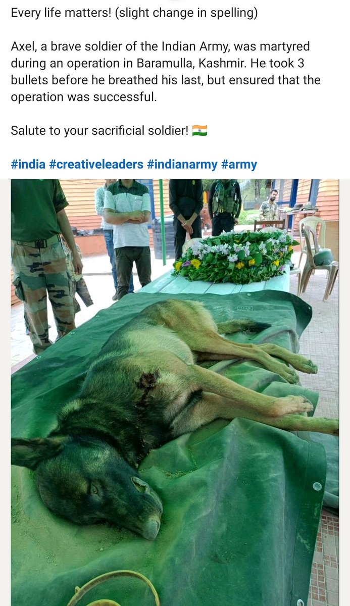 Every Life Matters 
#Salute <a href="/adgpi/">ADG PI - INDIAN ARMY</a>