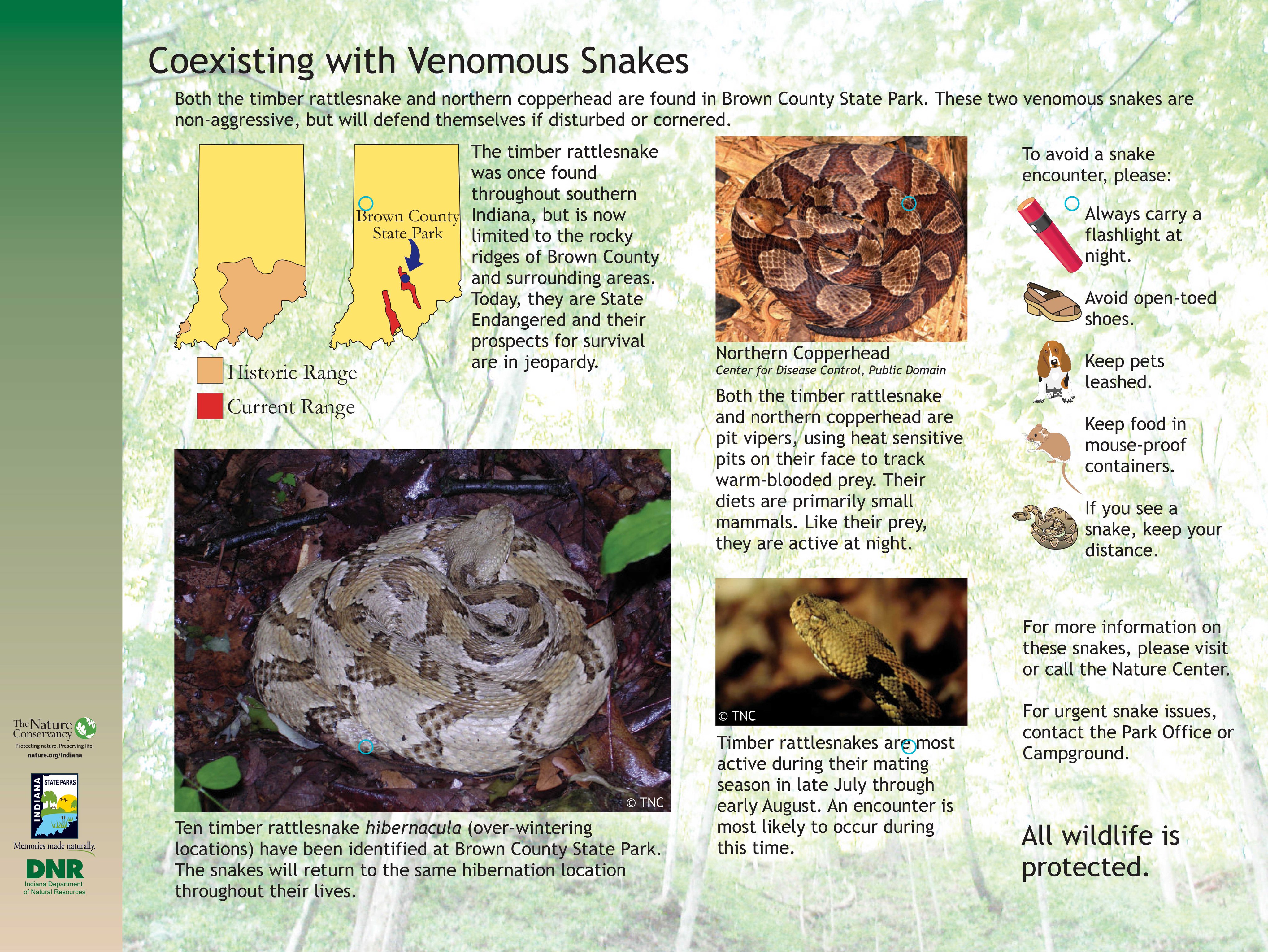 Interpretive sign with info about timber rattlesnakes and copperheads.