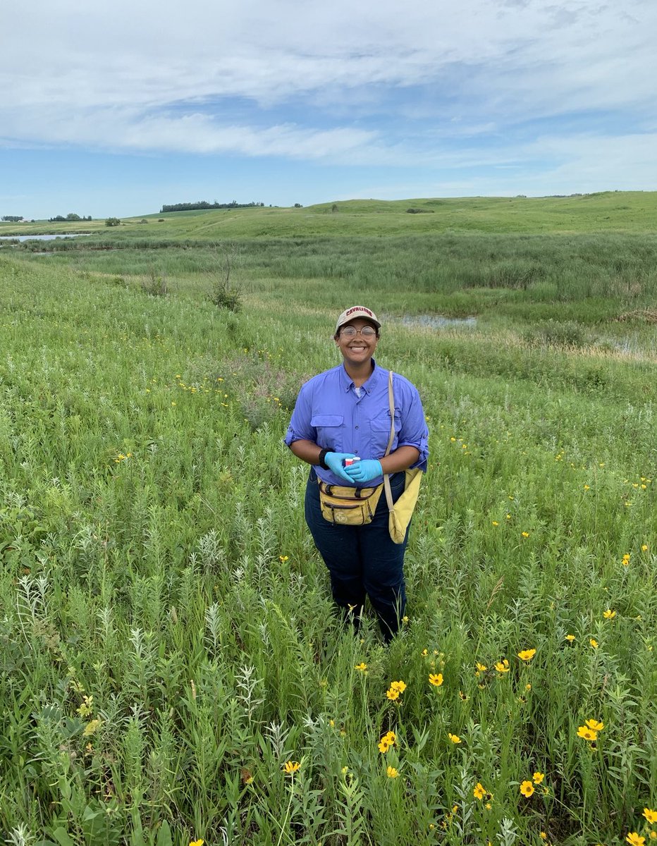 Miyauna Incarnato tweet media