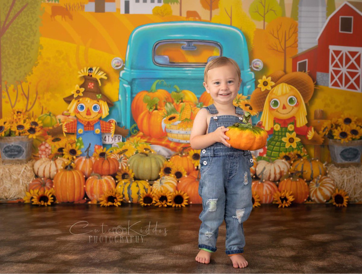 kayml_'s tweet photo. August 1st! Is it fall yet? 🤣🤪 My cute lil babee modeling a fall backdrop 🧡🍁🎃 https://t.co/J8wamPwBG8